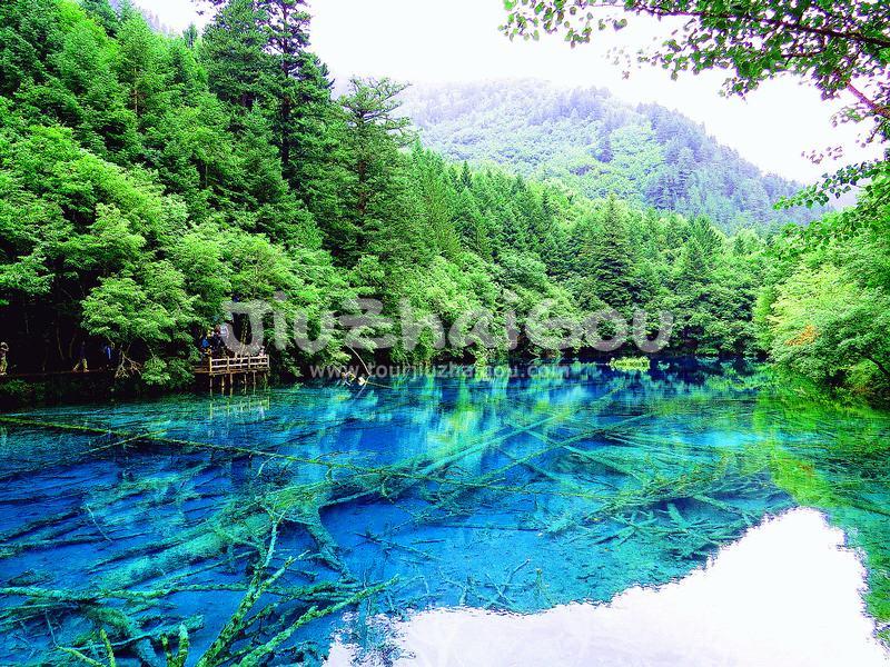 Summer in Jiuzhaigou Valley National Park 