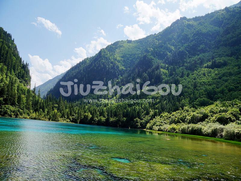 Summer in Jiuzhaigou