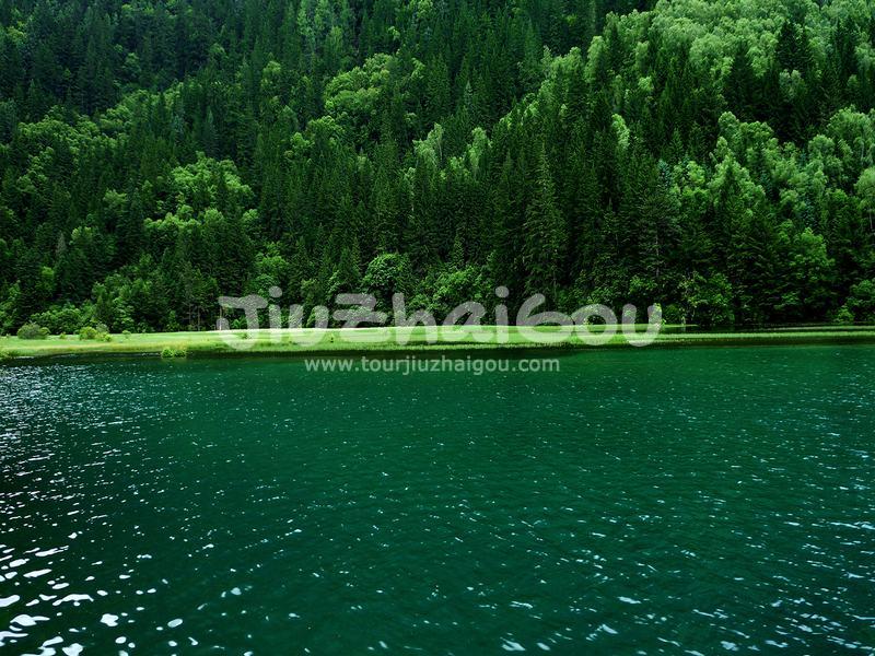 Summer in Jiuzhaigou
