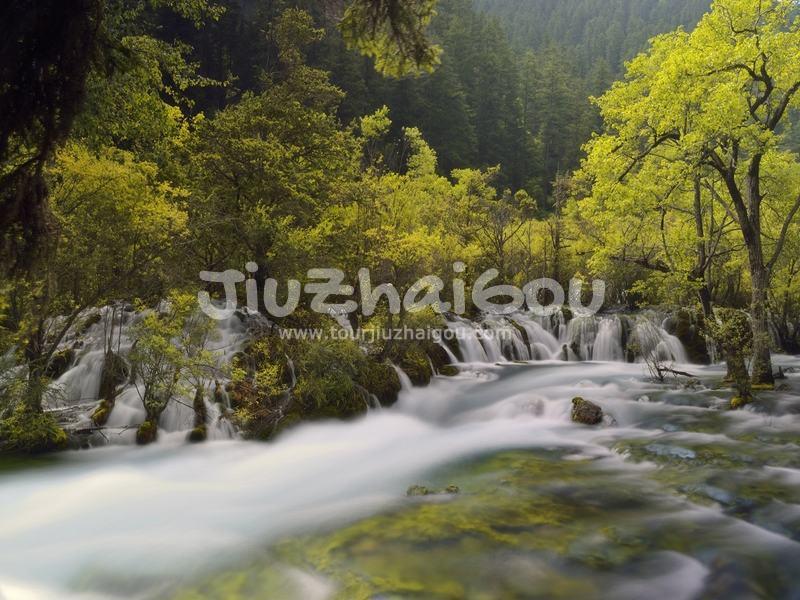Summer in Jiuzhaigou