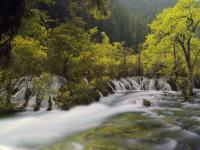 Summer in Jiuzhaigou