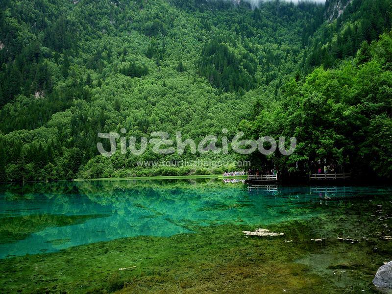 Summer in Jiuzhaigou