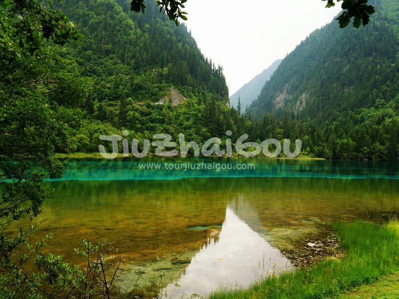 Summer in Jiuzhaigou