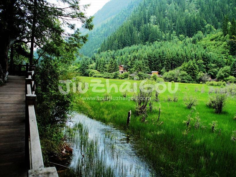 Summer in Jiuzhaigou