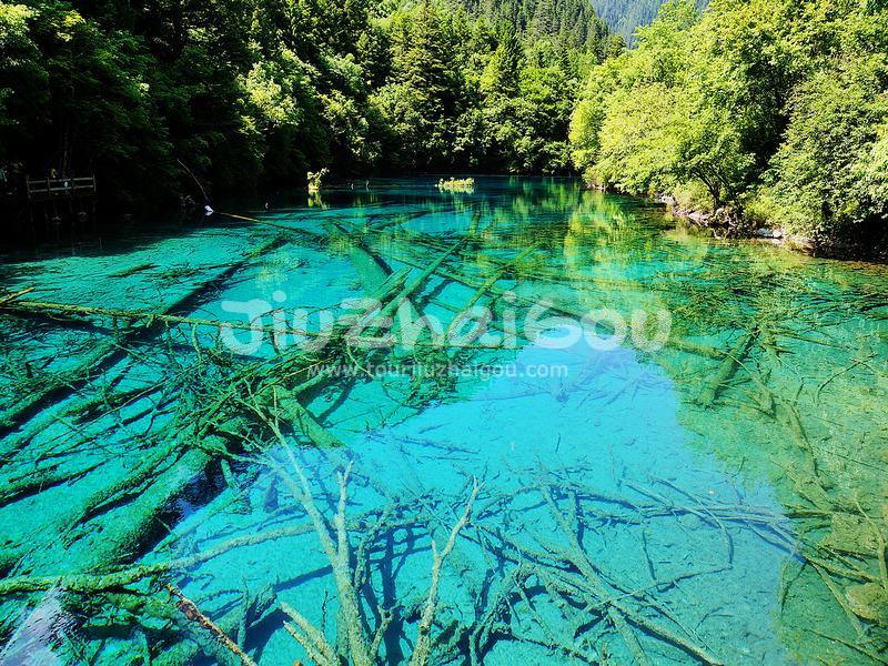 Summer in Jiuzhaigou