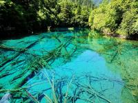 Summer in Jiuzhaigou