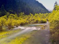 Summer in Jiuzhaigou