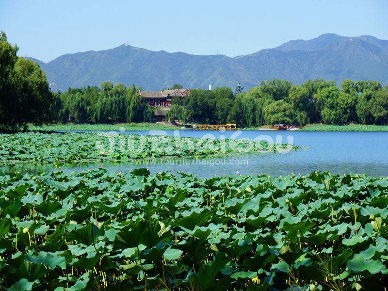 Summer Palace
