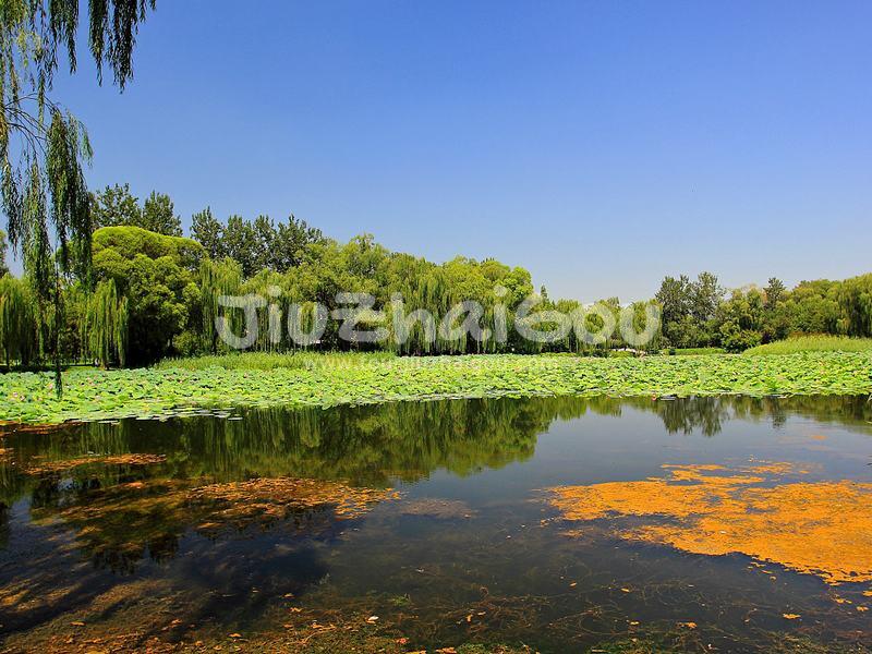 Summer Palace