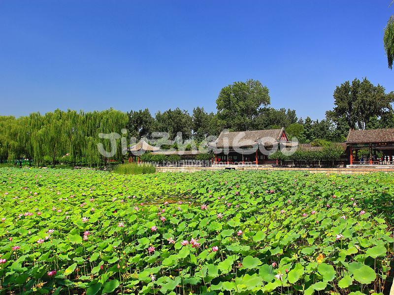 Summer Palace