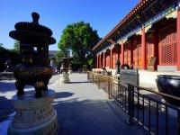 Summer Palace