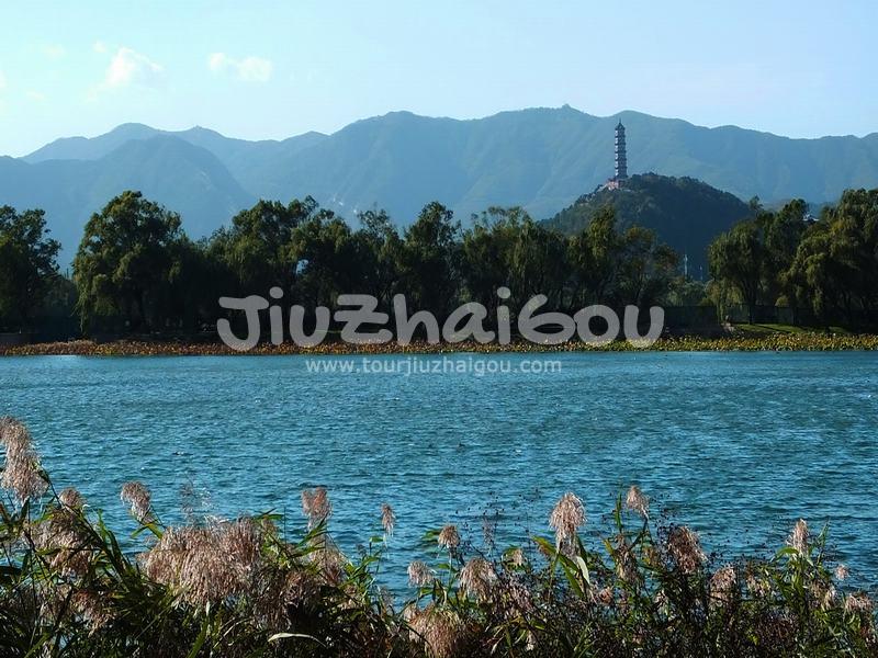 Summer Palace