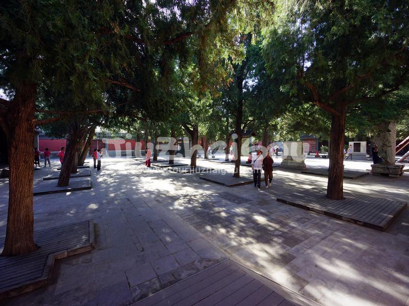 Summer Palace