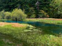 Swan Lake in Jiuzhaigou National Park 