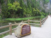 Jiuzhaigou Swan Lake