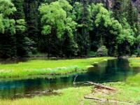 Swan Lake Jiuzhaigou 