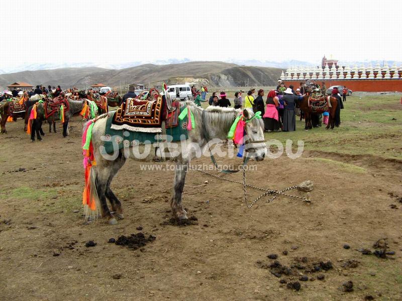Tagong Grassland