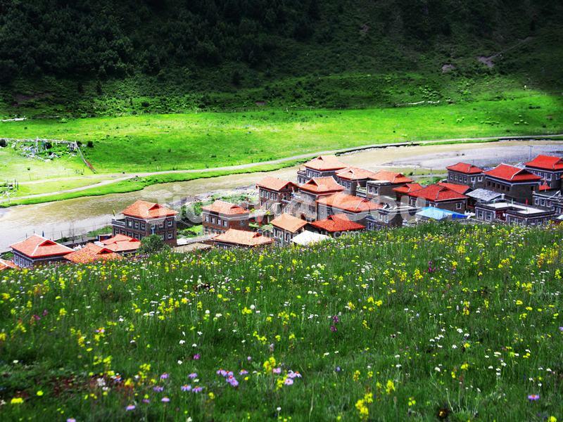 Tagong Grassland