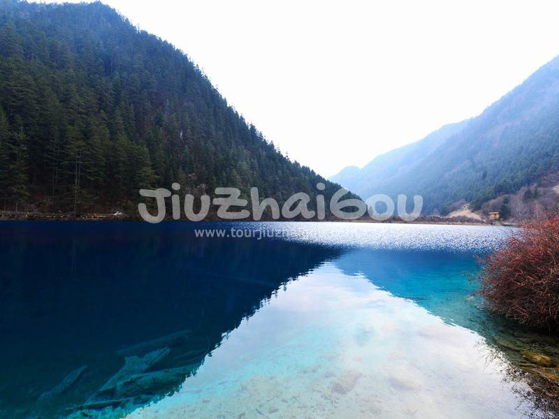 Tiger Lake