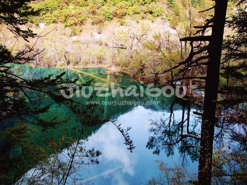 Tiger Lake