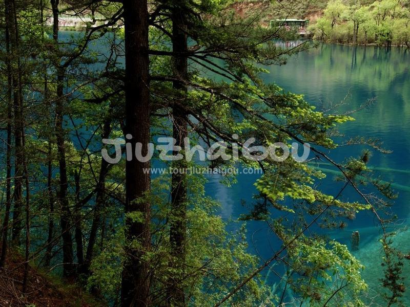 Tiger Lake