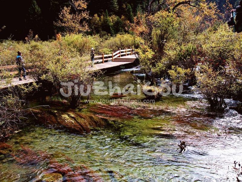 Tiger Lake