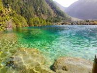 Tiger Lake - Jiuzhaigou National Park