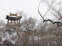 Wangjianglou Park in Winter