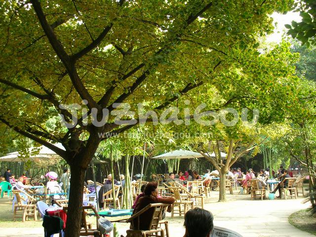 Leisure Time in Wangjianglou Park