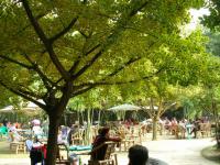 Leisure Time in Wangjianglou Park