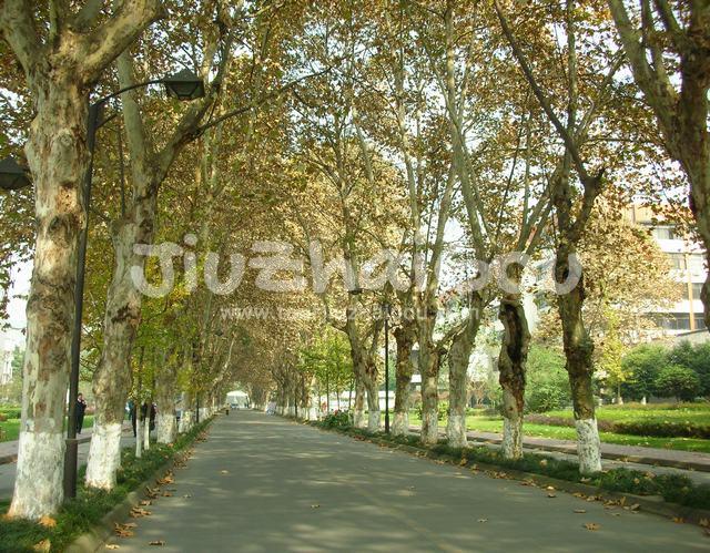 Wangjianglou Park in Autumn