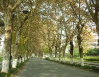 Wangjianglou Park in Autumn