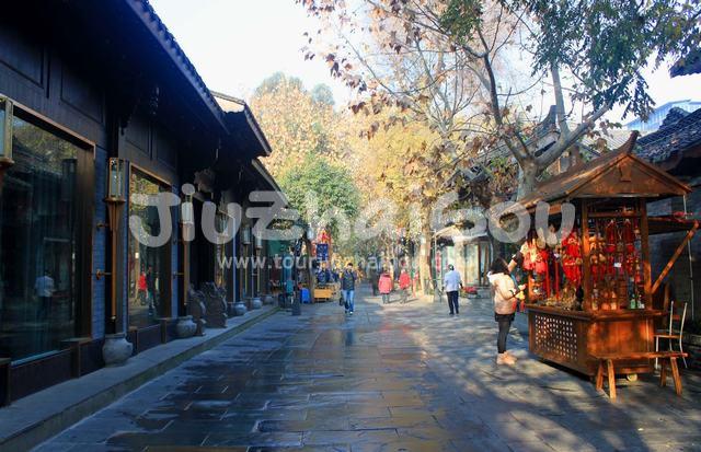 Street in Wide and Narrow Lanes 