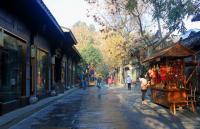 Street in Wide and Narrow Lanes 