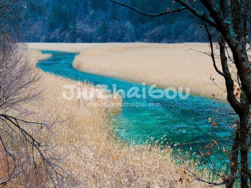 Winter in Jiuzhaigou