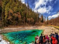 Winter Tour in Jiuzhaigou