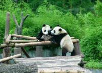 Wolong National Nature Reserve
