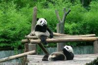 Wolong National Nature Reserve