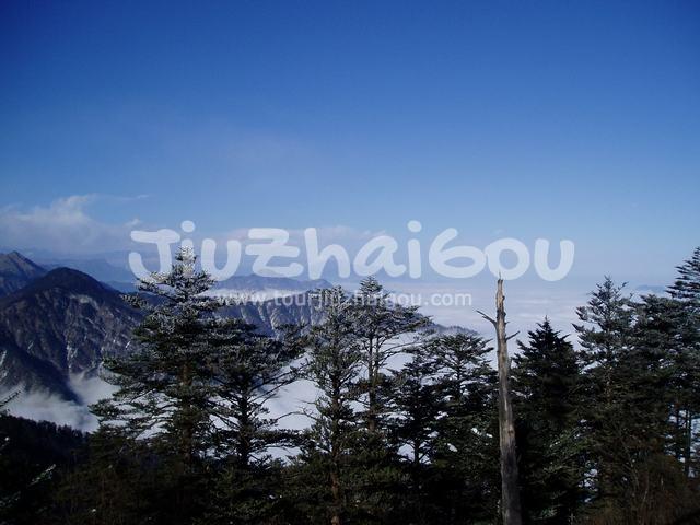 Xiling Snow Mountain Pines and Clouds Sea