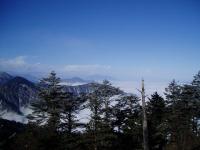 Xiling Snow Mountain Pines and Clouds Sea