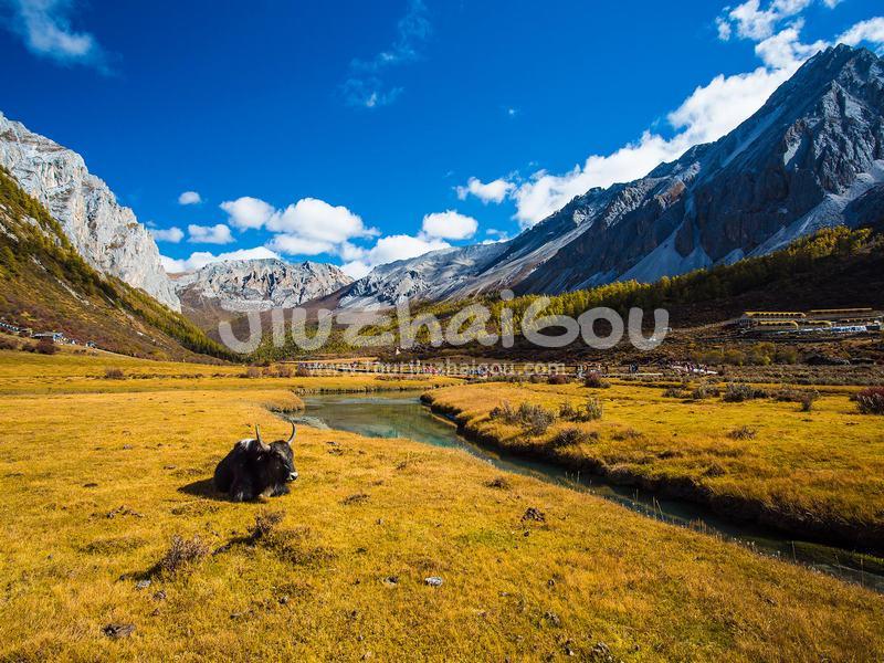 Luorong Pasture in Yading Nature Reserve