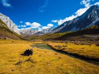 Luorong Pasture in Yading Nature Reserve