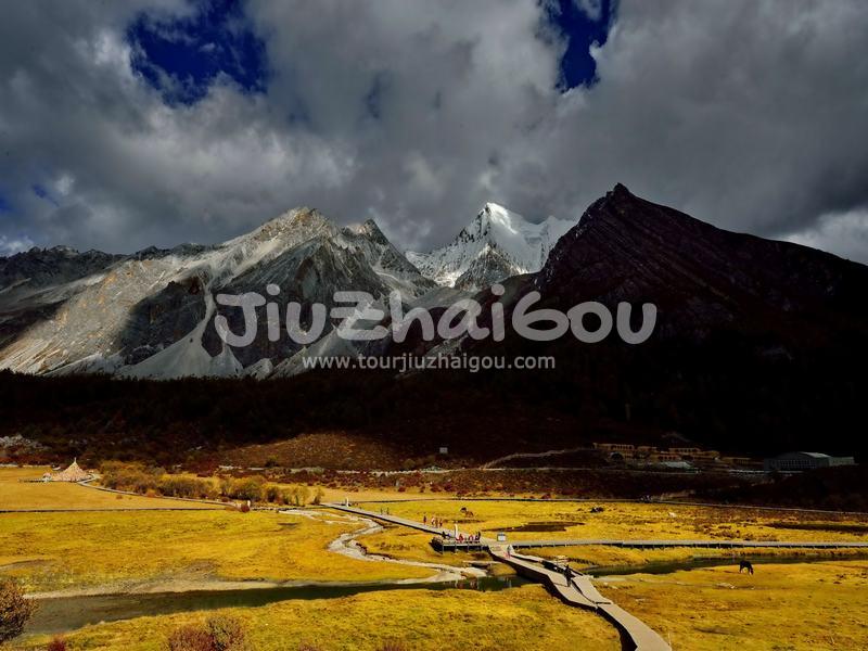 Yading Luorong Pasture