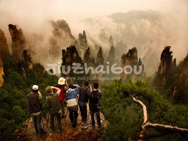 Tianzi Mountain