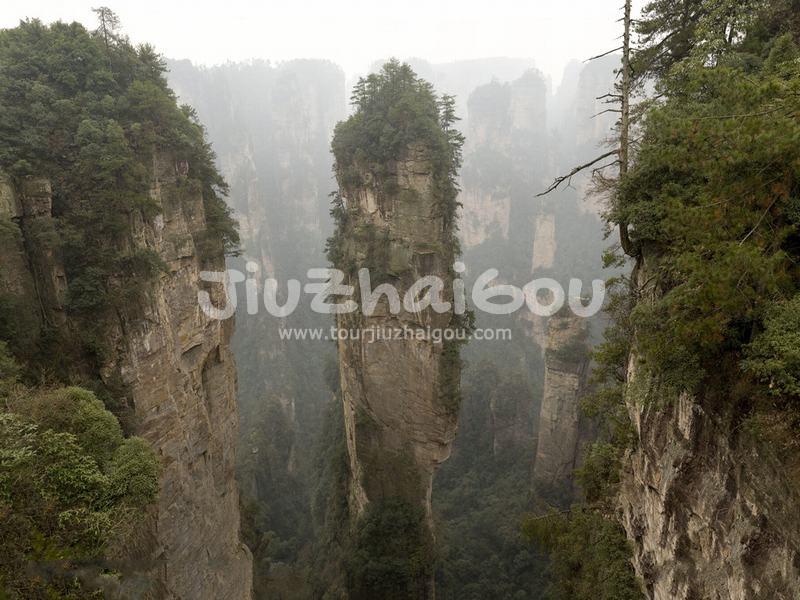 Hallelujah Mountain Avatar