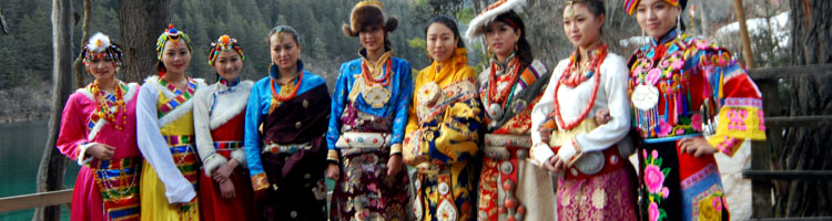 Cultural Shows