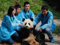 Bifengxia Panda Base