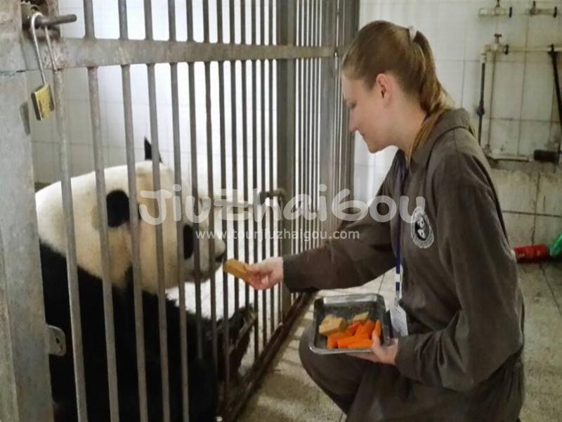 Feed Panda