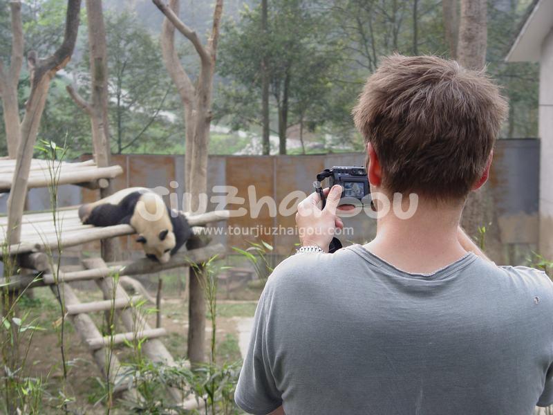 Bifengxia Panda Base