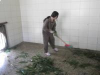 Clean Panda House